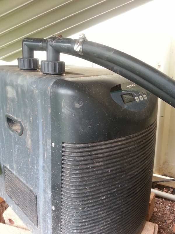 20160103_124413 (600x800).jpg