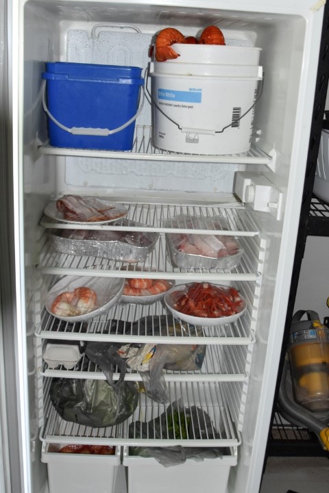 DSC_0429 (Large) (Custom).JPG