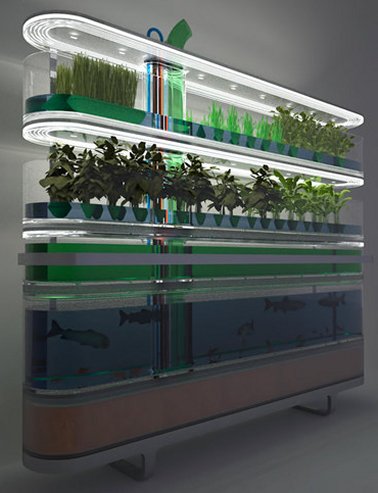 wall_based_aquaponics1.jpg