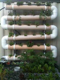 wall_based_aquaponics3.jpg