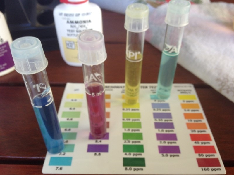 IMG_1281 (Custom).JPG