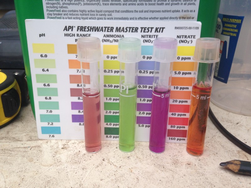 IMG_1306 (Custom).JPG