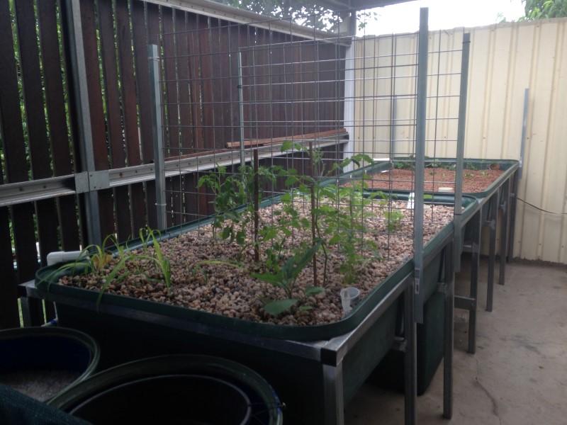 IMG_1310 (Custom).JPG