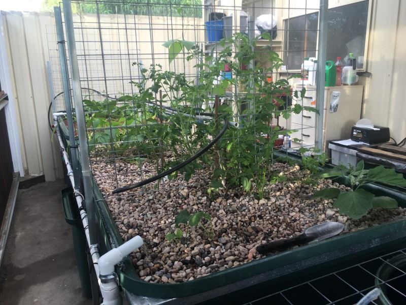 IMG_1343 (Custom).JPG