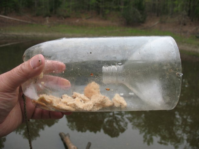 fish-trap-bottle.jpg
