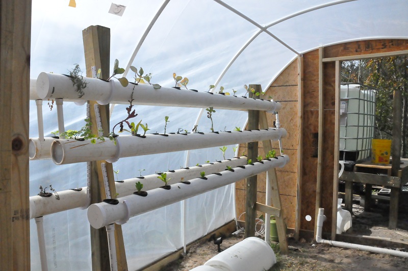 NFT 4 inch tube resized.jpg