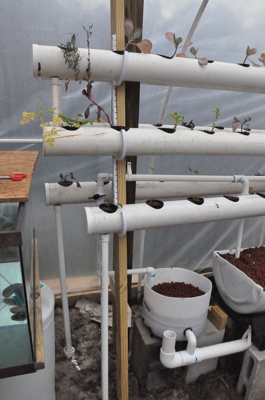 Constant flow bucket.jpg