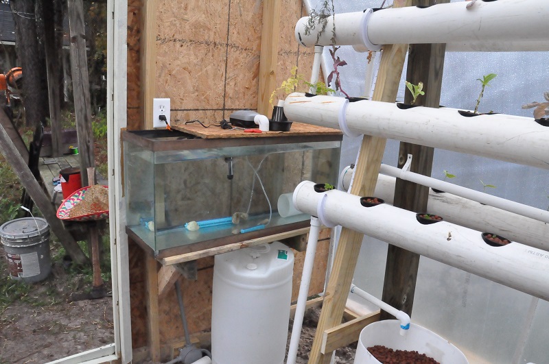 aquarium for breader.jpg