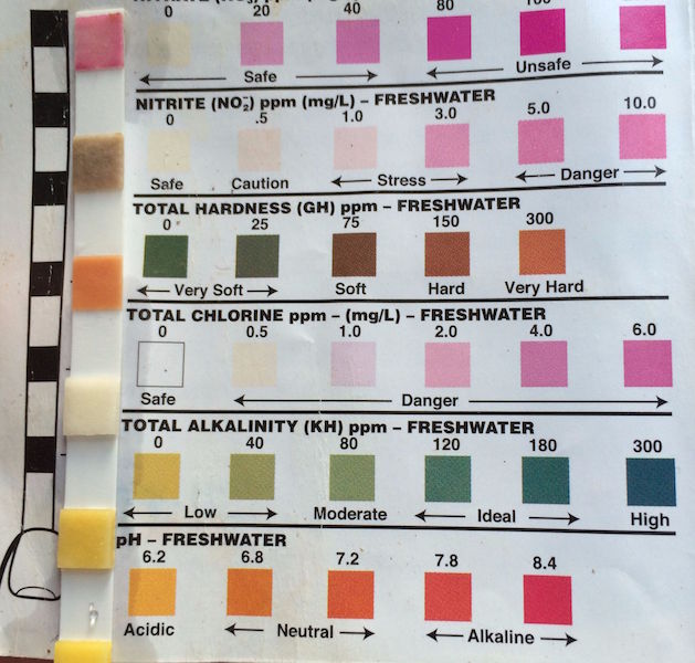 2016-01-27_174527582_D18B6_iOS   (2016-01-30T06_00_37.002)v2.jpg