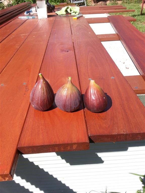 20160118_095954 (Medium).jpg