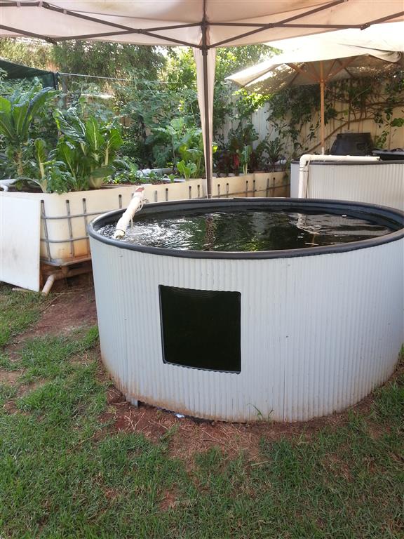 20160128_174525 (Medium).jpg