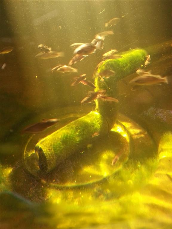 20160129_165400 (Medium).jpg