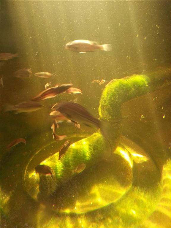 20160129_165431 (Medium).jpg