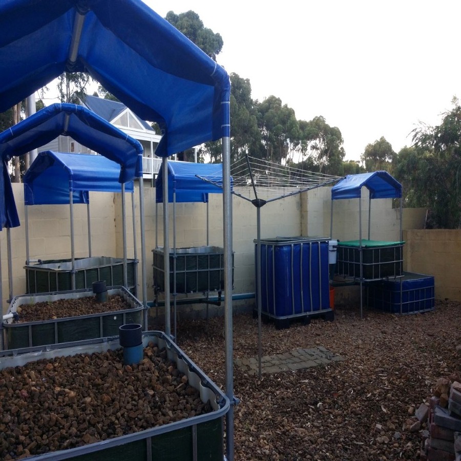 20160109_182010 (Large).jpg