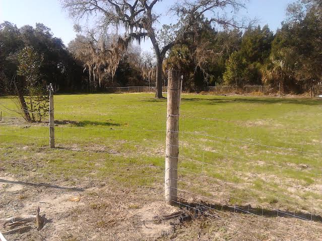 pig pasture after.jpg