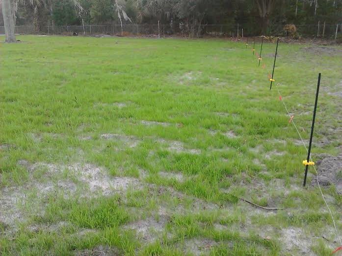 pig pasture before-1.jpg