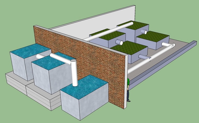 aquaponics project 1.jpg