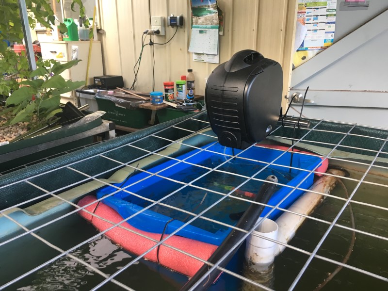 IMG_1387 (Custom).JPG