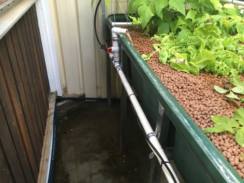 IMG_1384 (Custom).JPG