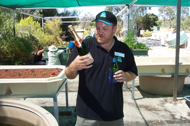 French champagne.jpg