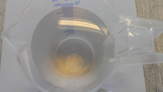 Perth Aquaponics - EDDHA Iron test 15-2-16 - 0.25 of tspn into 500L g.jpg