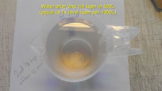 Perth Aquaponics - EDDHA Iron test 15-2-16 - 2nd 0.25 of tspn into 500L f - Copy.jpg