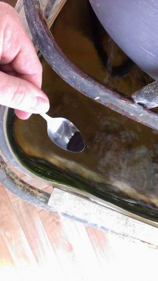 Perth Aquaponics - EDDHA Iron test 15-2-16 - 2nd 0.25 of tspn into 500L a.jpg