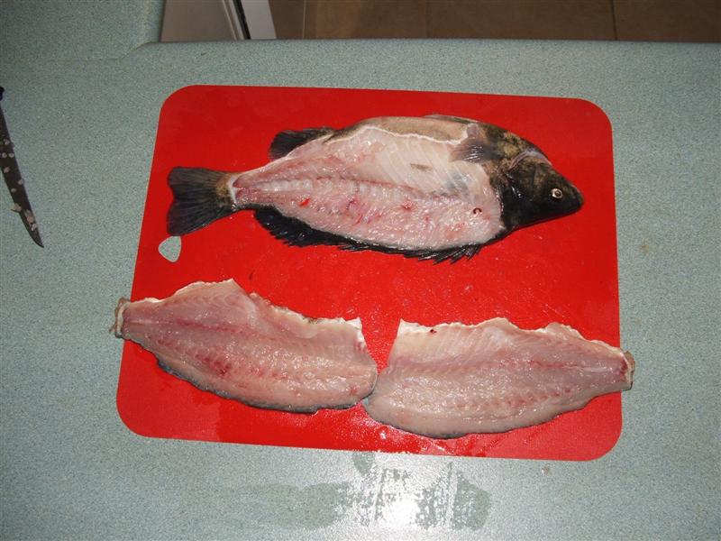 DSCF4767 (Medium).JPG