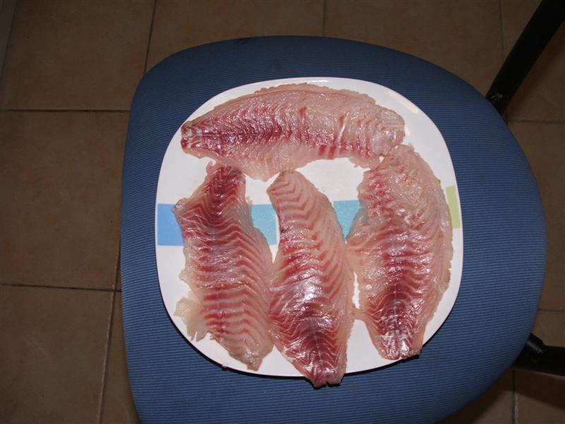 DSCF4774 (Medium).JPG