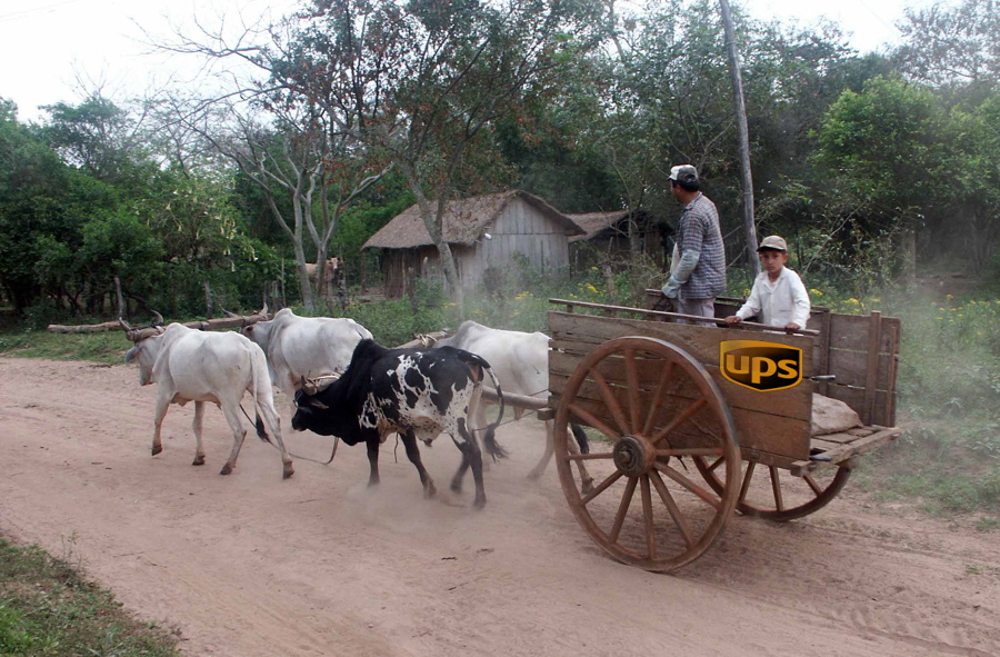 oxcart_delivery.jpg