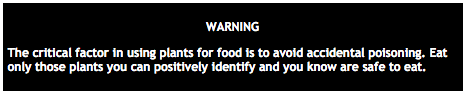 UET Warning.png