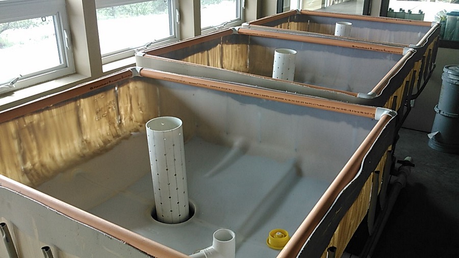 20150723 Setting up the grow bed plumbing.jpg