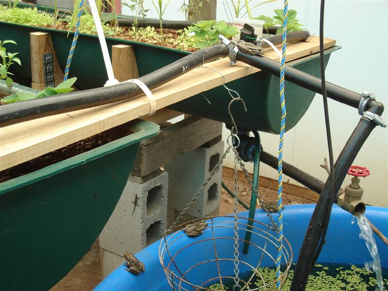 DSC00184 (Medium).JPG