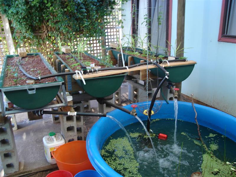 DSC00169 (Medium).JPG