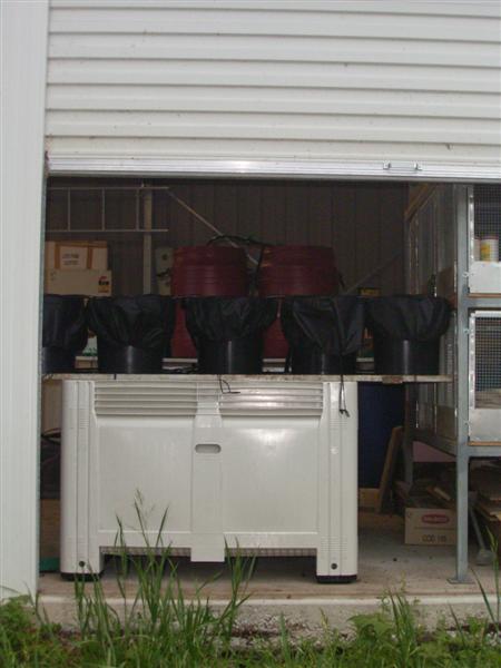 Aquaponics System - 15 Sep 06 003 (Medium).jpg