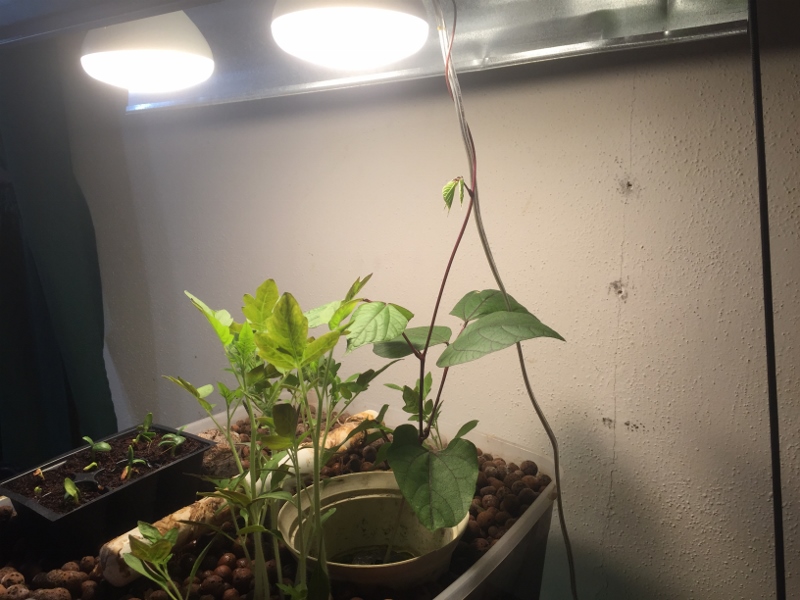 IMG_3898 (2) (800x600).jpg