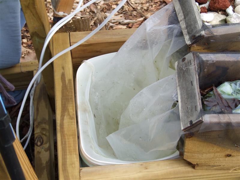 drain bucket (Medium).jpg