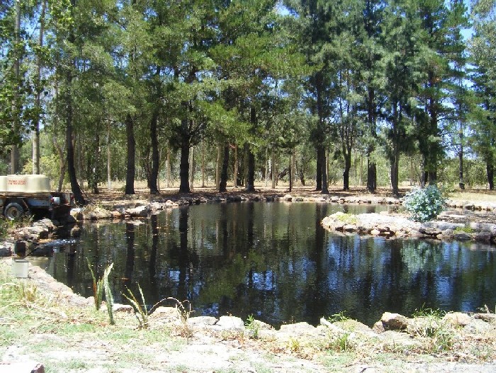 pond1.JPG