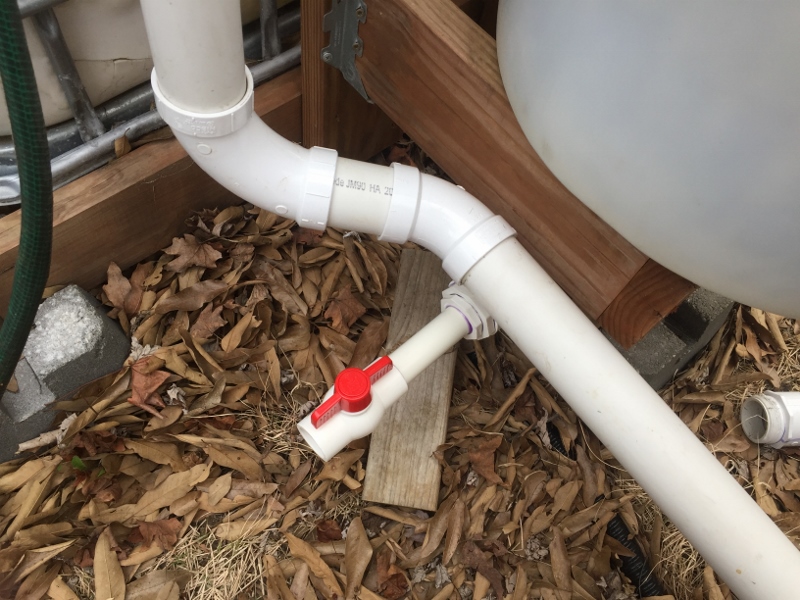 IMG_3807 (800x600).jpg