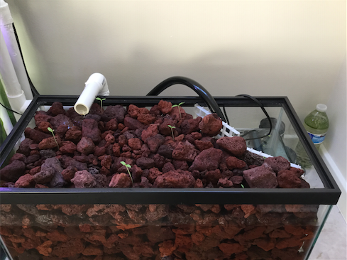 Screen Shot 2016-04-16 at 11.15.33 AM.png