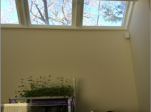 Screen Shot 2016-04-16 at 11.15.46 AM.png