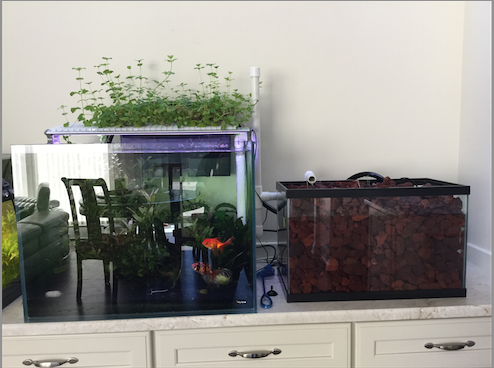 Screen Shot 2016-04-16 at 11.16.04 AM.png