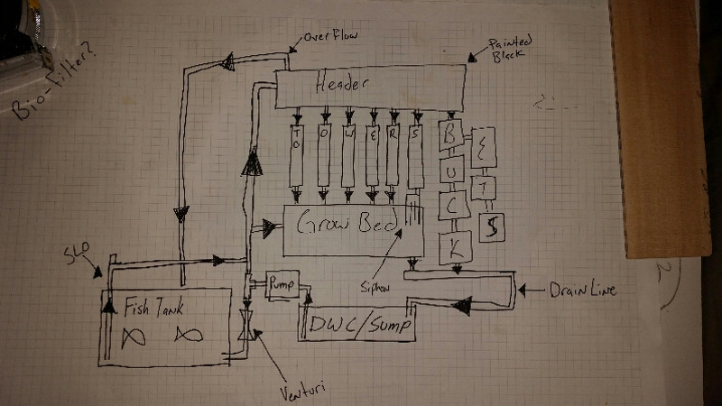 2016-04-22 13.50.44.jpg