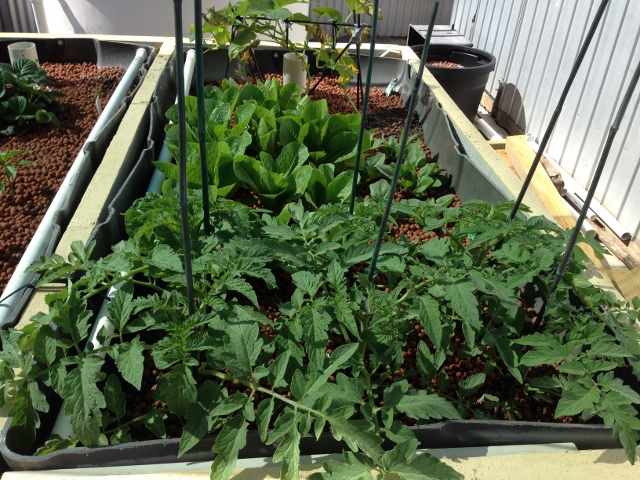 IMG_0801 (640x480).jpg