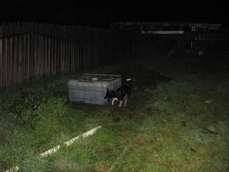 pics 025 (Large) (Medium).jpg