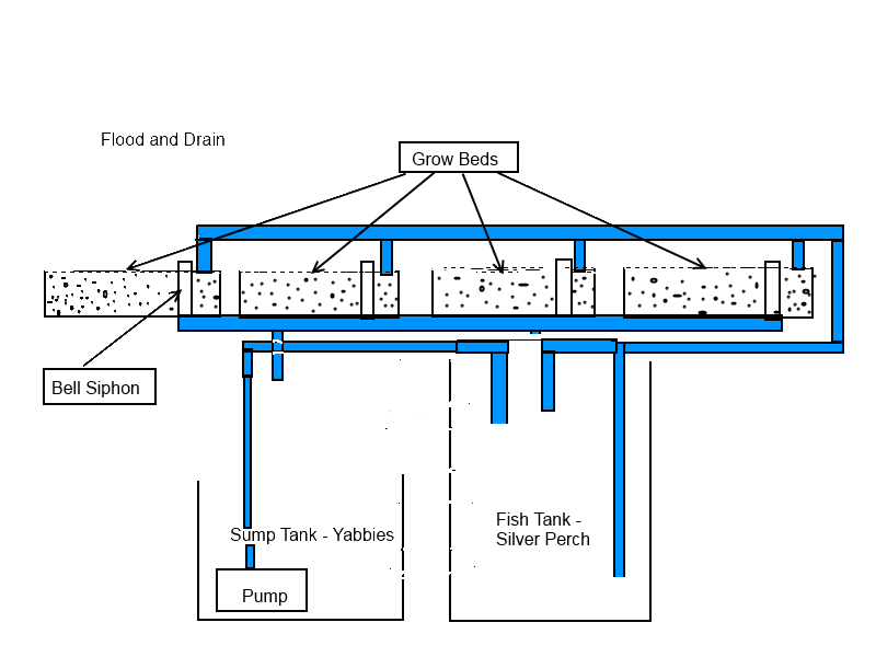 Set up - System Design.png