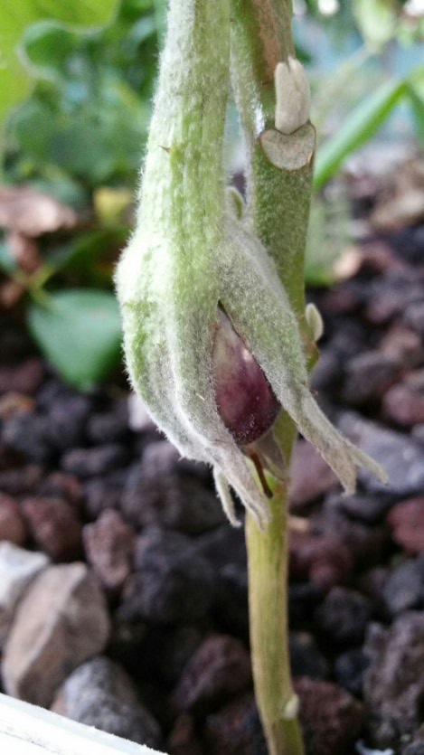 2016-05-15 19.27.27.jpg