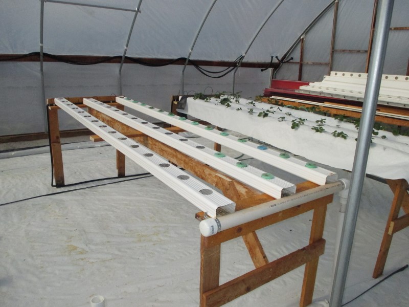 IMG_0357 (800x600).jpg