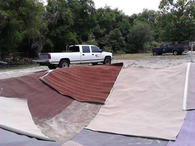 pond with carpet.jpg