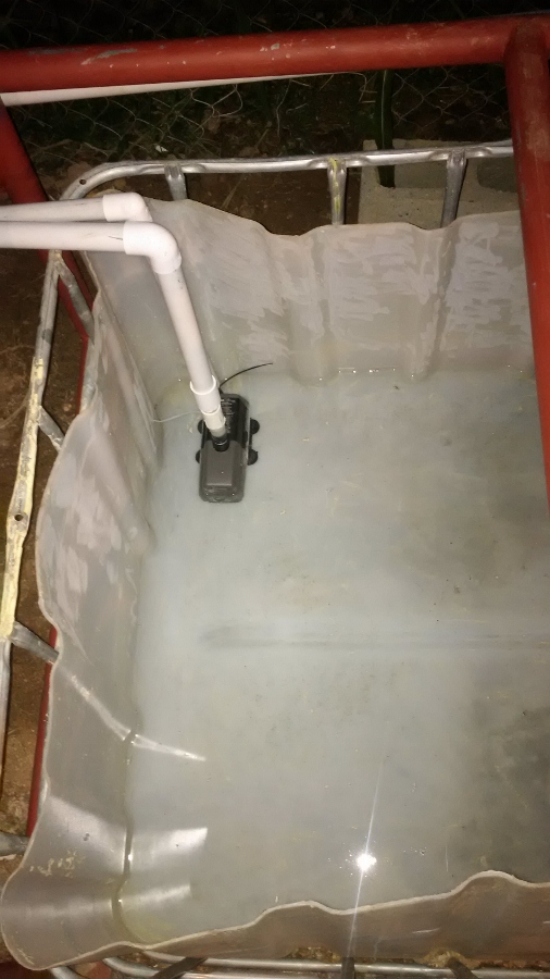 IMG_20160531_204145 (506x900).jpg